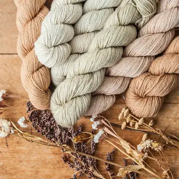 Quince & Co Willet Sport weight Cotton Yarn