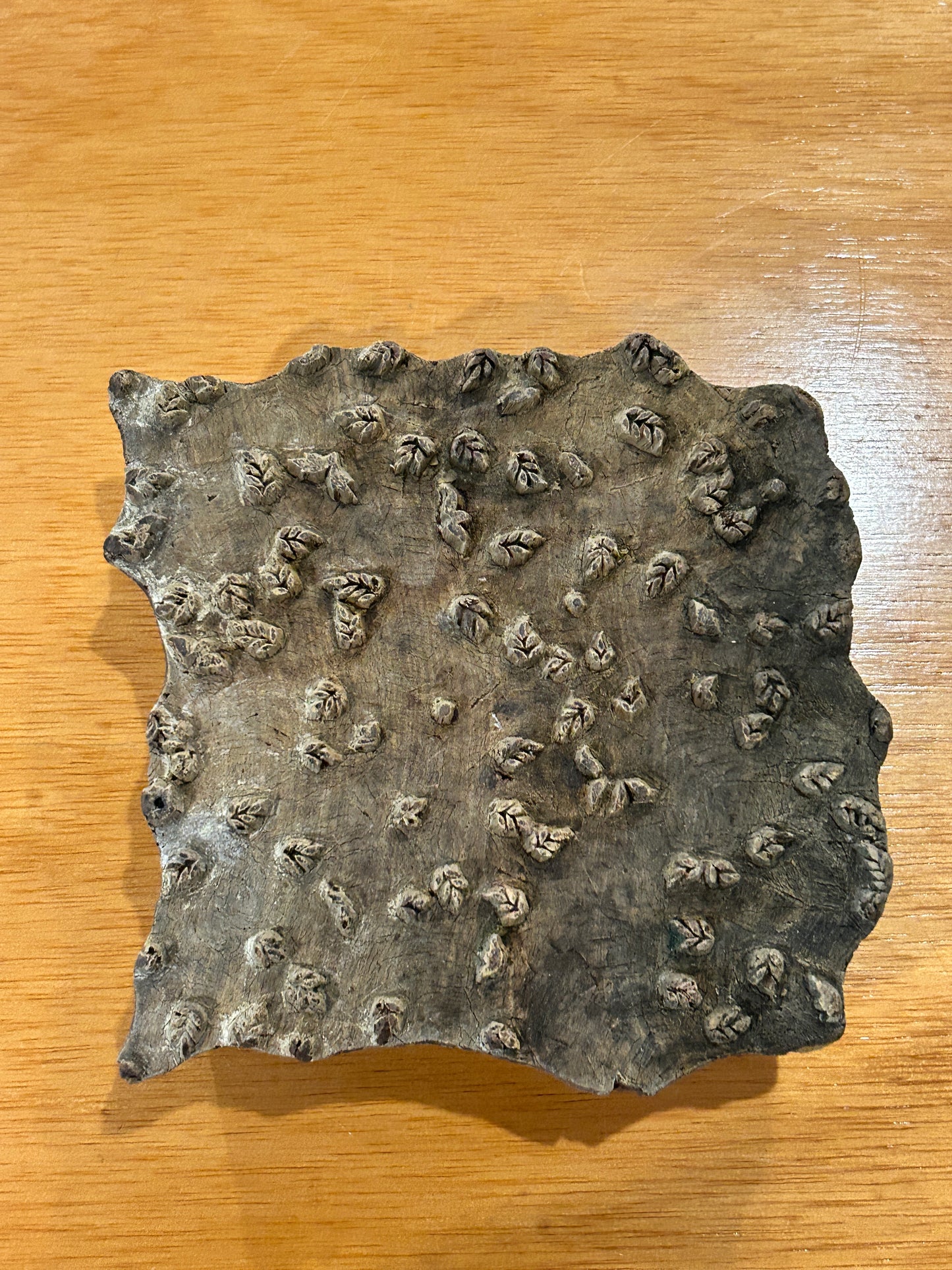 Hand Carved Wooden Printing Blocks