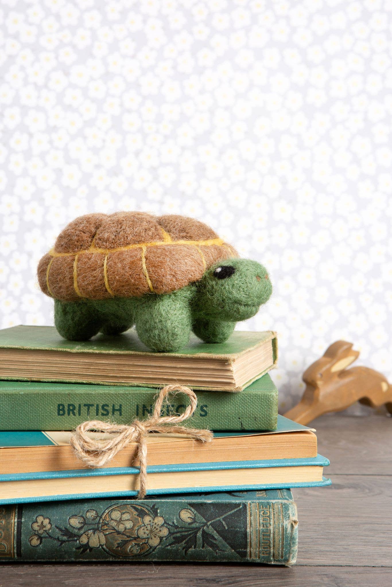 Tortoise Needle Felting Kit | Beginner Craft Kit