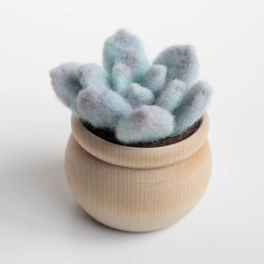Felted Sky Succulent Needle Felting Kit