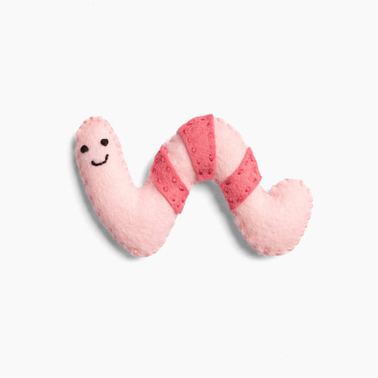 Winnie the Wry Worm - DIY Craft Kit